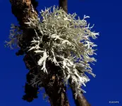 IMG_4781-001.webp