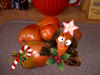 weihnachtstomaten (1).webp