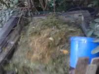 P201113_17.15.webp