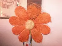 Bild 7218.webp