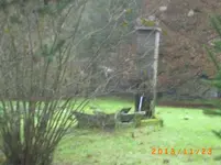 nov01 021.webp