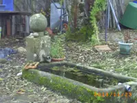 nov01 020.webp