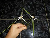 DSCN0696.webp