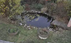 Teich 3.webp