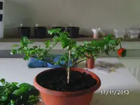 nachher (3).webp
