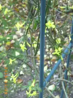 vov02 008.webp