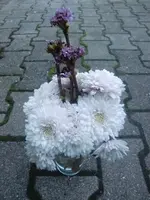CIMG3947.webp