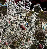 lo90plötrz345.webp