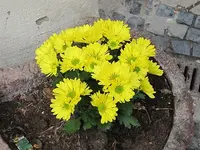 004.webp