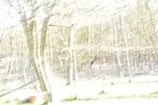 Spiel mit Verrreissen 1.webp