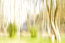 Spiel mit Verreissen 3.webp