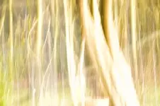 Spiel mit Verreissen 5.webp