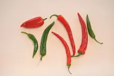 Spiel mit Chili2.webp