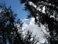 125.webp