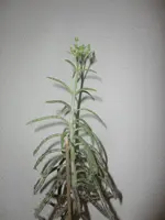 CIMG3900.webp