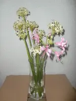 CIMG3901.webp