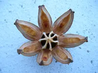 DSCN0325.webp
