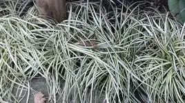 012.webp