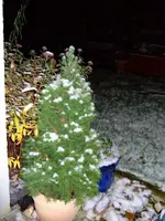 DSCF8150.2.webp