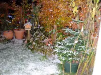 DSCF8151.2.webp