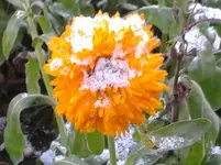 20131126_100140.webp