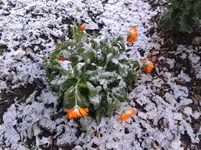 20131126_100309.webp