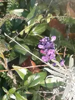 20131126_100729.webp