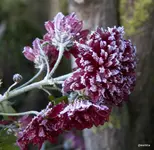 IMG_9867.webp