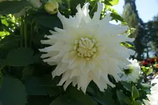 DSC04764.webp