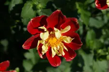 DSC04675.webp