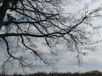 056.webp