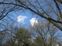 079.webp