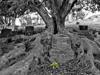 19 Kia ora.webp