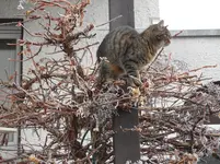 SAM_1838.webp