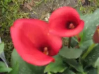 Bild 280.webp