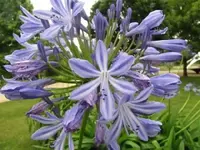 Bild 1737.webp