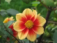 Bilda 0295.webp