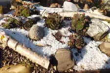 2013_1125Herbst0009.webp