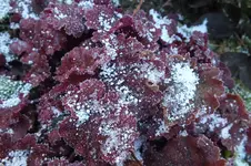 2013_1125Herbst0010.webp