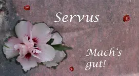 Abschiedskarte_Marienkaefer.webp