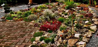 P1200055 Steingarten.webp