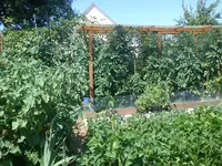 DSC02018.webp