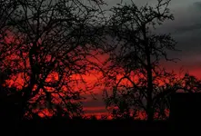140CanNov13.webp