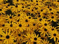 Bild 132.webp