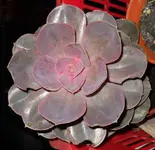 DSCN9840.webp