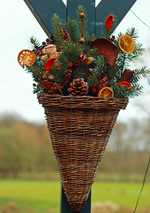 Hängekorb2_600.webp