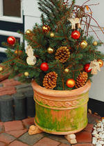 weihnachtlicher Pflanzkübel_700.webp