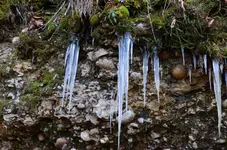 DSC_0537.webp