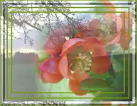 Blend2.webp