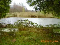 vov06 011.webp